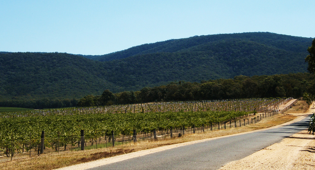 Pyrenees Victoria Winery Limo Tours