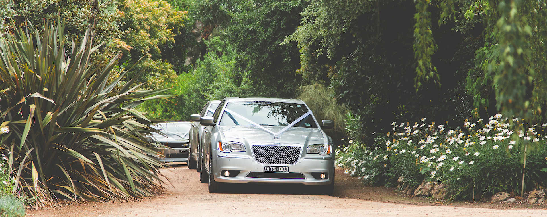 Stretch Limo Hire Melbourne